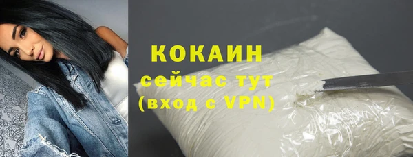 тгк Вяземский