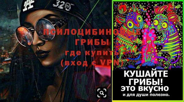 тгк Вяземский