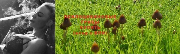 твердый Вязьма