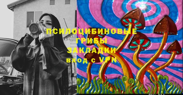 тгк Вяземский
