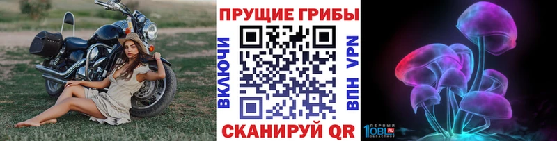 Галлюциногенные грибы мицелий  мега ССЫЛКА  Томск  закладка 